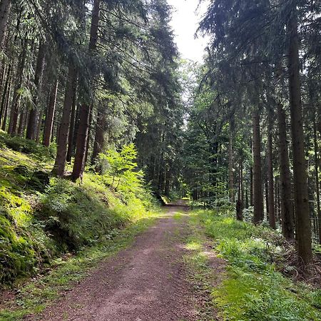 Gaestehaus Im Erzgebirge Zwoenitz Екстер'єр фото