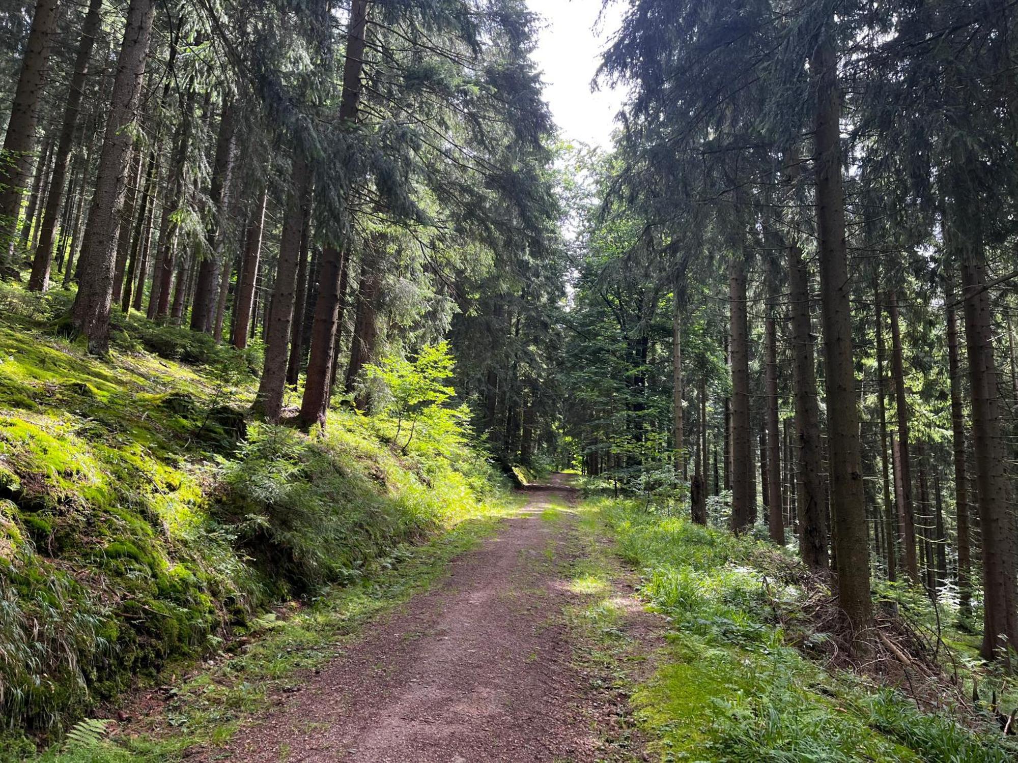 Gaestehaus Im Erzgebirge Zwoenitz Екстер'єр фото